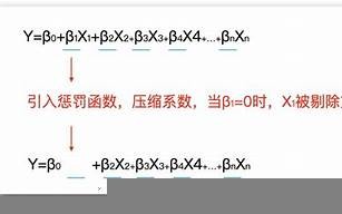 lasso什么意思,lasso中文翻译,lasso用法及例句,lasso怎么读