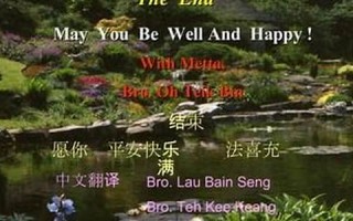 happy中文翻译,happy发音,happy用法及例句,happy是什么意思