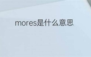 mores什么意思,mores中文翻译,mores用法及例句,mores怎么读