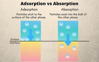 Absorb用法及例句,Absorb中文翻译,Absorb发音,Absorb怎么读,Absorb是什么意思