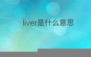 liver什么意思,liver中文翻译,liver用法及例句,liver怎么读