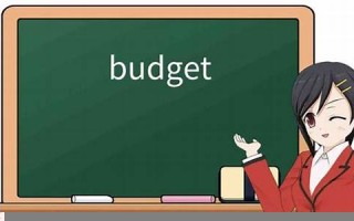 Budget用法及例句,Budget中文翻译,Budget发音,Budget怎么读,Budget是什么意思