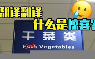 pussy中文翻译,pussy发音,pussy用法及例句,pussy是什么意思