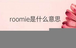 roomie中文翻译,roomie发音,roomie用法及例句,roomie是什么意思