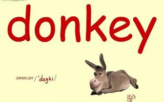 donkey怎么读,donkey中文翻译,donkey什么意思,donkey用法及例句