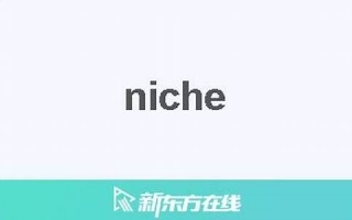 Niches中文翻译,Niches用法及例句,Niches是什么意思,Niches中文意思怎么读