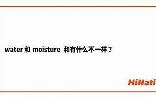 moisture什么意思,moisture中文翻译,moisture用法及例句,moisture怎么读