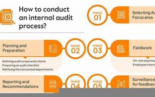 Audit用法及例句,Audit中文翻译,Audit发音,Audit怎么读,Audit是什么意思