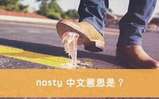 nasty什么意思,nasty中文翻译,nasty用法及例句,nasty怎么读